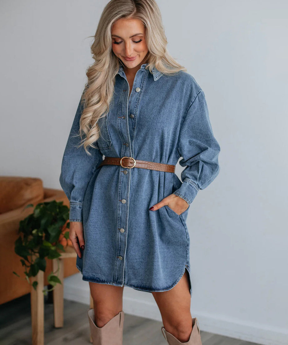 Button Up Collared Neck Long Sleeve Denim Dress